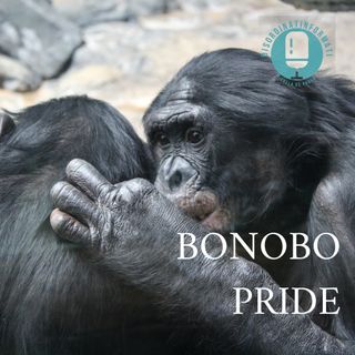 DI 2x06: BONOBO PRIDE