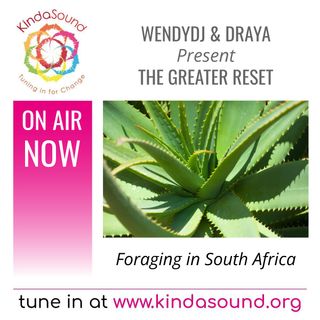 Foraging in SA | The Greater Reset Live with WendyDJ, Draya and Guests