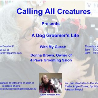 Calling All Creatures Presents A Dog Groomer's Life