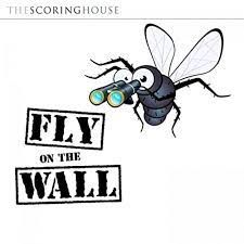 FLY ON THE WALL LISTENING TO US