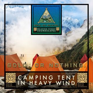 Camping Tent In Heavy Wind | 1 Hour Forest Ambience | White Noise | Relax | Meditate | Sleep Instantly