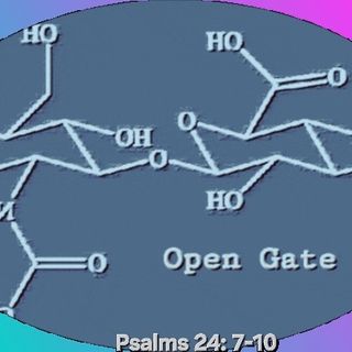 Theobiology