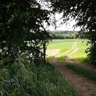 Farmview Aug 6th