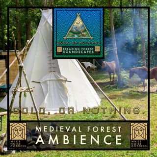 Medieval Forest Soundscape | 1 Hour Forest Ambience | Relax | Meditate | Sleep Instantly