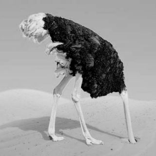 Bufale Bestiali. False Credenze sugli Animali - Curiosità   (w/ Graziano Ciocca | Autore) S.1