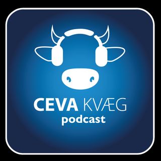 CEVA KVÆG - Podcast