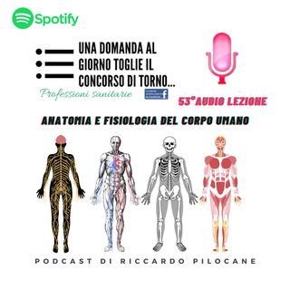 53° audio lezione Anatomia e fiosiologia del corpo umano