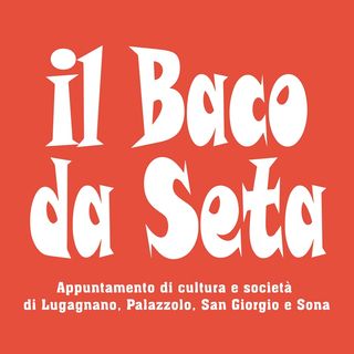 Il Baco Da Seta