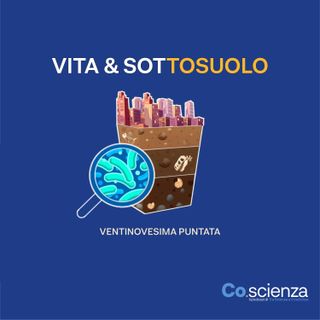 Vita & Sottosuolo (Ventinovesima Puntata)
