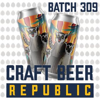 Batch309: Another Day, Another Beer Festival!