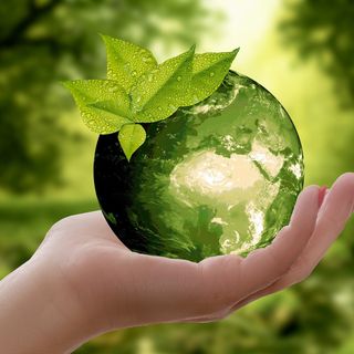 Switch to a Green Job & Save Our Earth