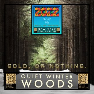 Quiet Winter Woods | 2022 Fresh Start | Positive Relaxing Vibes
