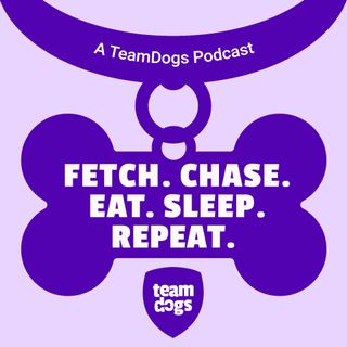 Fetch. Chase. Eat. Sleep. Repeat.
