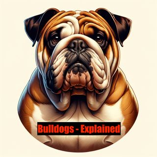 UGA – The Living Legacy of the University of Georgia Bulldogs