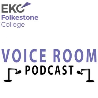 The Voice Room