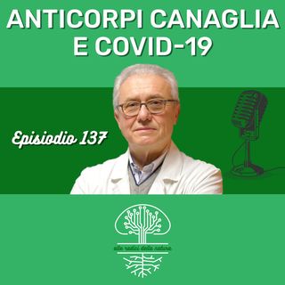 Anticorpi Canaglie e Covid-19