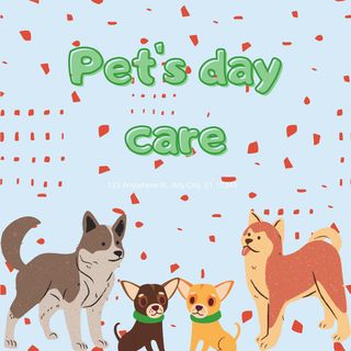 Pet's day care