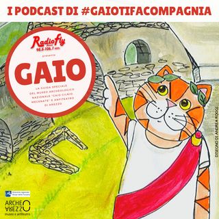 RadioFly | I podcast di #Gaiotifacompagnia
