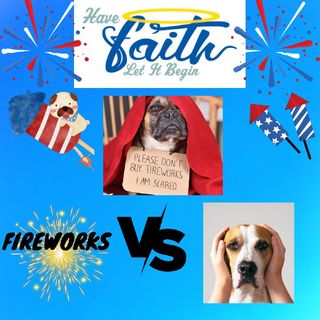 Fireworks Vs Dogs "Pets"