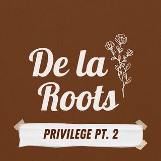 Episode 16: Privilege Pt. 2