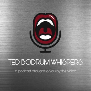 THE VOİCE OF TED BODRUM