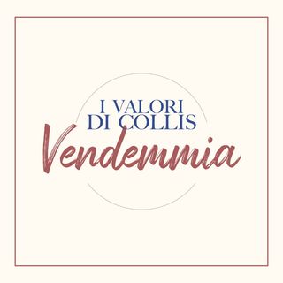 Vendemmia