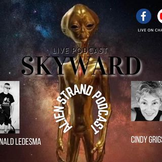 #82 SKYWARD-  With Guest (Cindy Grigsby)