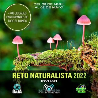 NUESTRO OXÍGENO Invitación al Reto Naturalista Urbano 2022