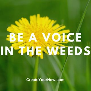 2694 Be a Voice in the Weeds