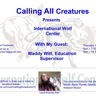 Calling All Creatures Presents the International Wolf Center