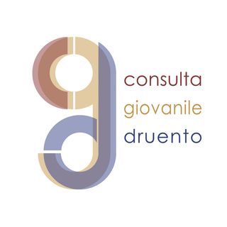 Stefano e la Consulta Giovanile di Druento (in italiano)