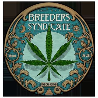 Breeders Syndicate 2.0 -Northern Lites / Lights with Seattle Greg and Kanza S01 E01