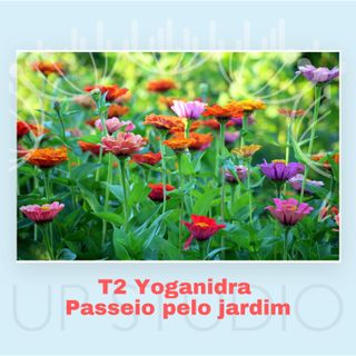 T2 Yoganidra passeio no jardim