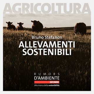 Bruno Stefanon - Allevamenti sostenibili