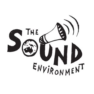 The Sound Environment