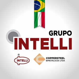 GRUPO INTELLI