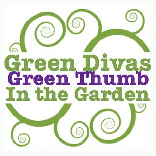 Green Garden Dreaming w/ Shawna Coronado