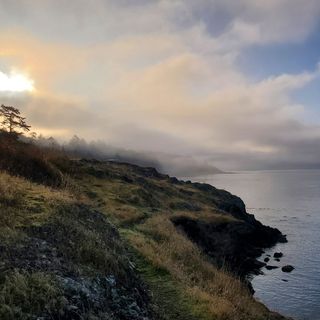 Amy Nesler - Visit the San Juan Islands in Washington