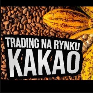 Rynek kakao. Gdzie i jak handlować na rynku kakao? #81