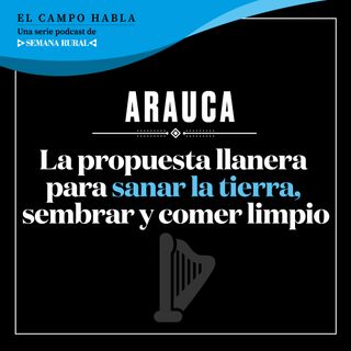 Arauca: La propuesta llanera para sanar la tierra, sembrar y comer limpio