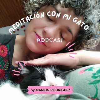 Meditación Con Mi Gato