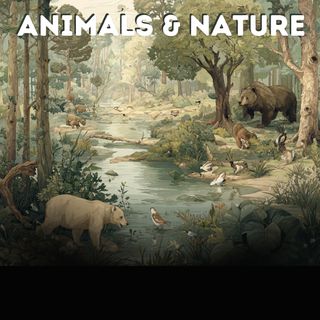 Animals & Nature