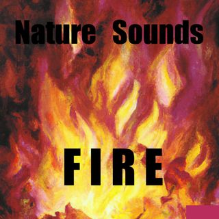 Fireplace Whispers: Soothing Fire Sounds for All