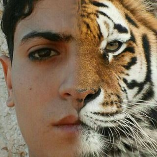 Ayoub Tali
