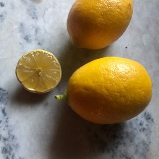 Stimulus-Response and My Problem With Lemon Bars