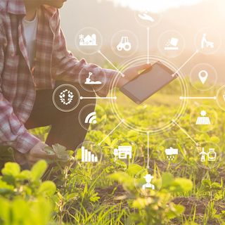 RADIO ANTARES VISION - Il potenziale dell'AI nel settore agroalimentare verso una prospettiva globale in termini di sostenibilità