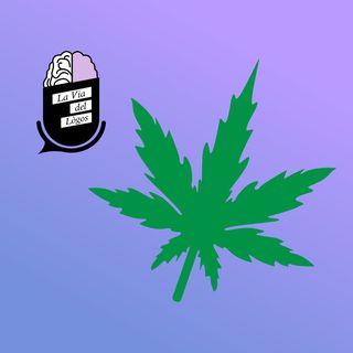 13 - Esplorando la legalizzazione della cannabis