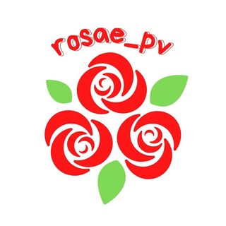 Rosae_pv