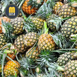 80 | Aumentare gli aromi tropicali nella birra