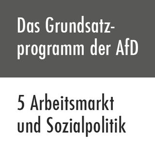 Das Grundsatzprogramm der AfD – 5 Arbeitsmarkt und Sozialpolitik
